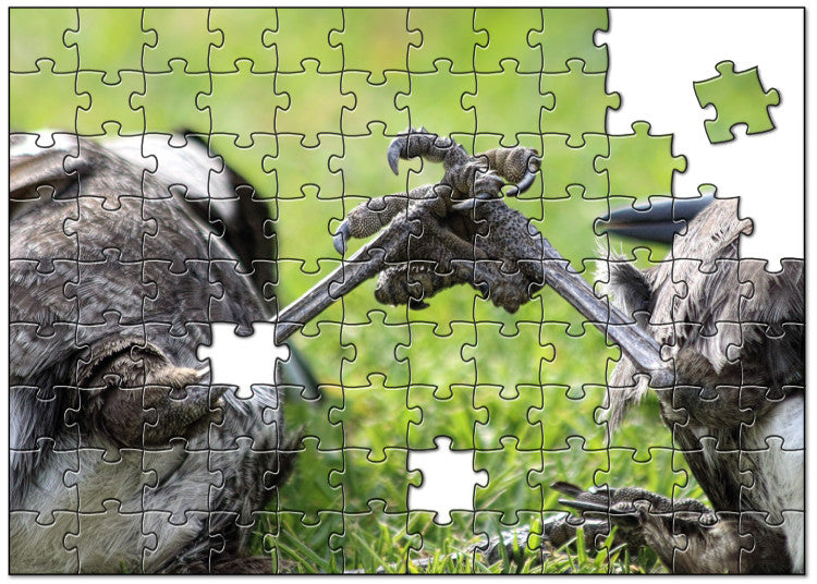 Magpie Jigsaw Puzzle - Best Friends