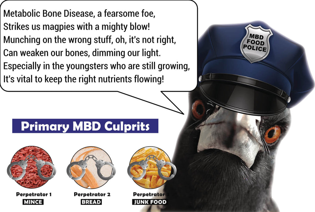 Understanding and Preventing Metabolic Bone Disease in Magpies