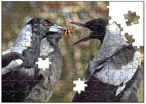 Magpie Jigsaw Puzzle - Feeding Time