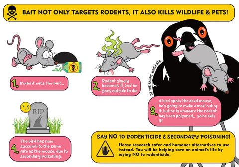 Poster: Refuse Rodenticides to Safeguard Wildlife from Secondary Poisoning